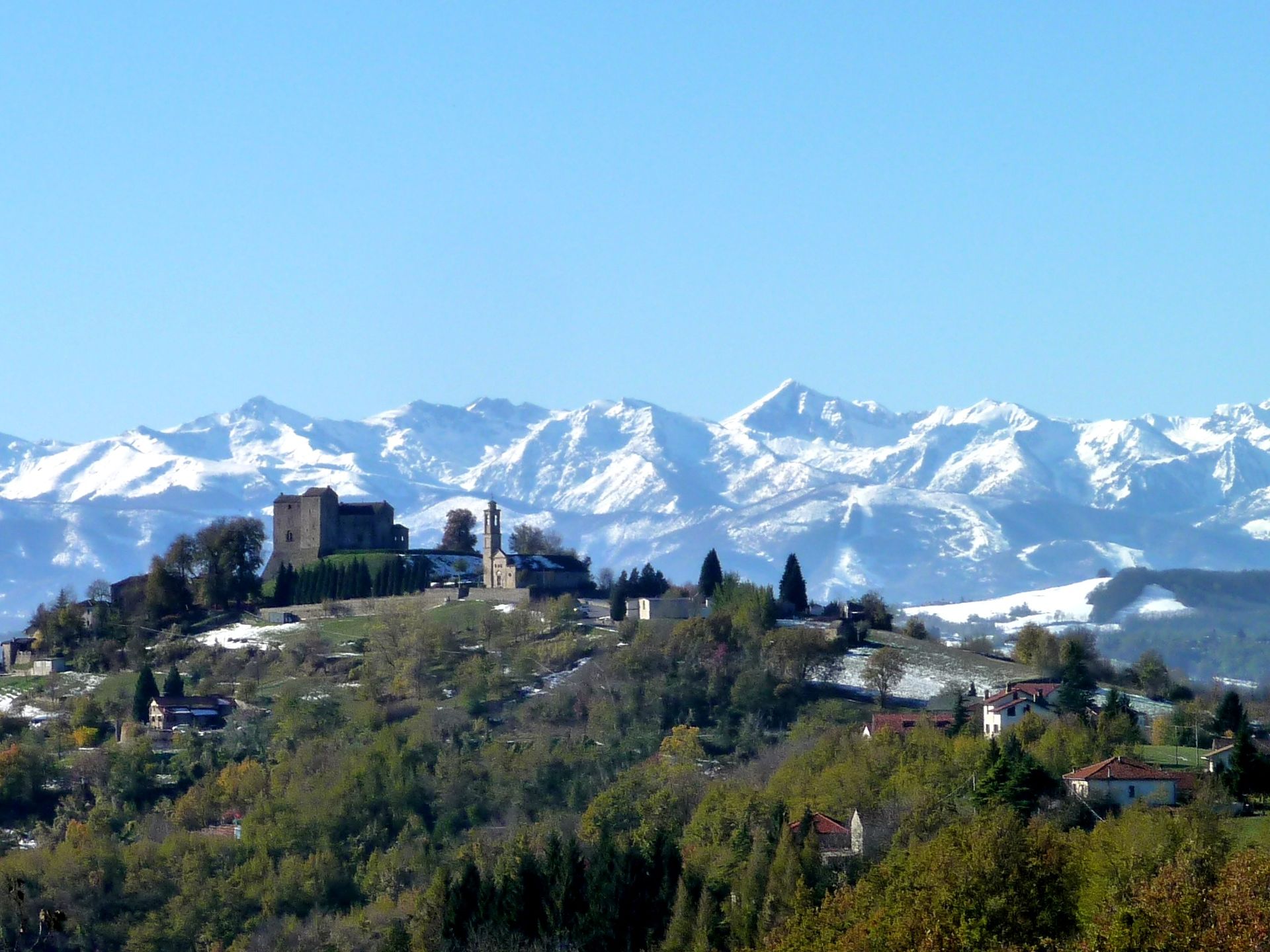 Prunetto